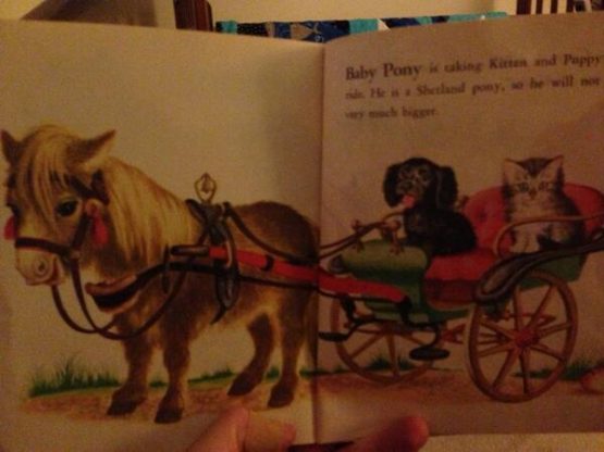 babyponychildrensbookbenstate