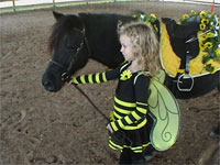 blackandgoldyellownorainblindmelonbeepgh