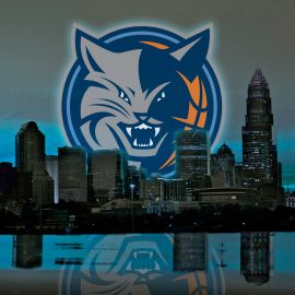 bobcats-skyline