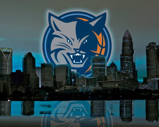 bobcats-skyline
