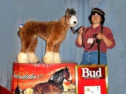 budweiserdoghorse