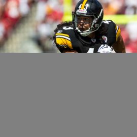 buzzfeedanagramtroypolamalu