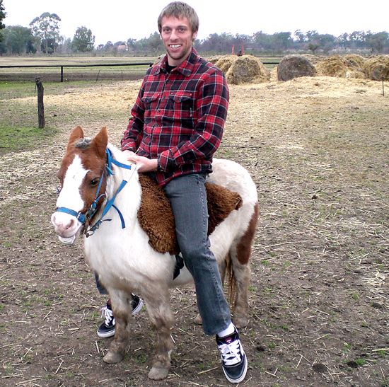 caballo_enano_opt