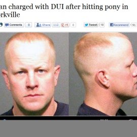 chicagoduikillshetlandpony