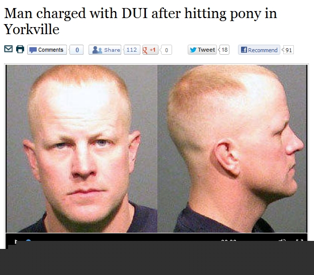 chicagoduikillshetlandpony