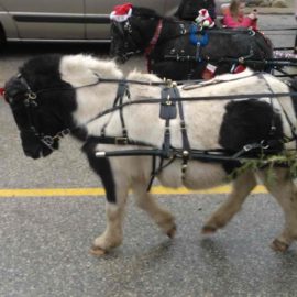 christmas2012parade5rickcanada1