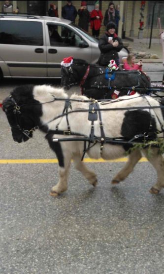 christmas2012parade5rickcanada1