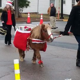 christmasparademiniponywakeforestnc2013nickbrettnb0578