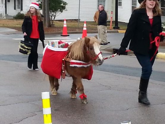 christmasparademiniponywakeforestnc2013nickbrettnb0578