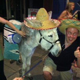 cincodemayodonkeyrogerdoug