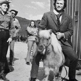 clinteastwoodminipony