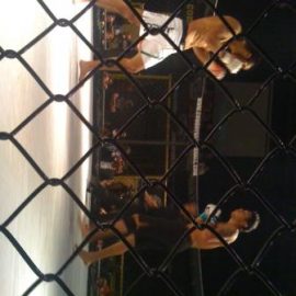 cowboy_cage_fighting1