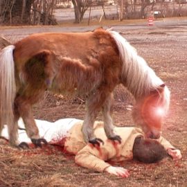 deathbypony