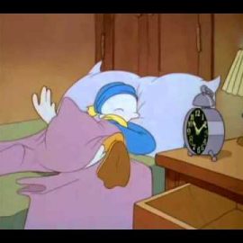 donaldducksleep