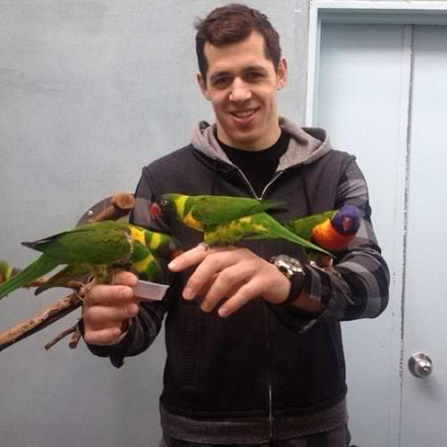 genoevgenimalkingenobirdspenguins