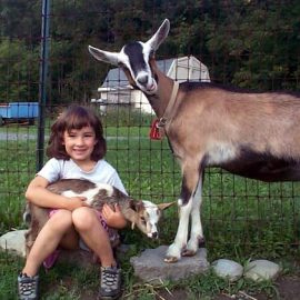goatsmile