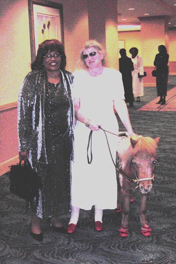 guide_horse_dress_shoes