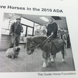 guidehorseada
