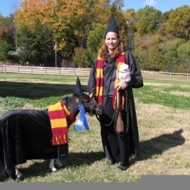 harrypotterminiponyjimbuzzfeed