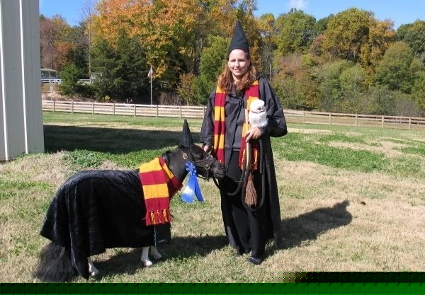 harrypotterminiponyjimbuzzfeed