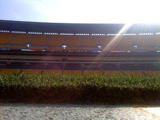 heinzfieldturfclose