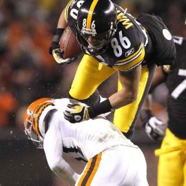 hineswardsteelersbrowns112012