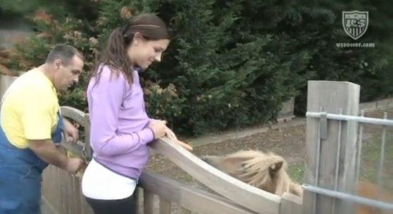 hotalexmorganminihorsebabyhorse