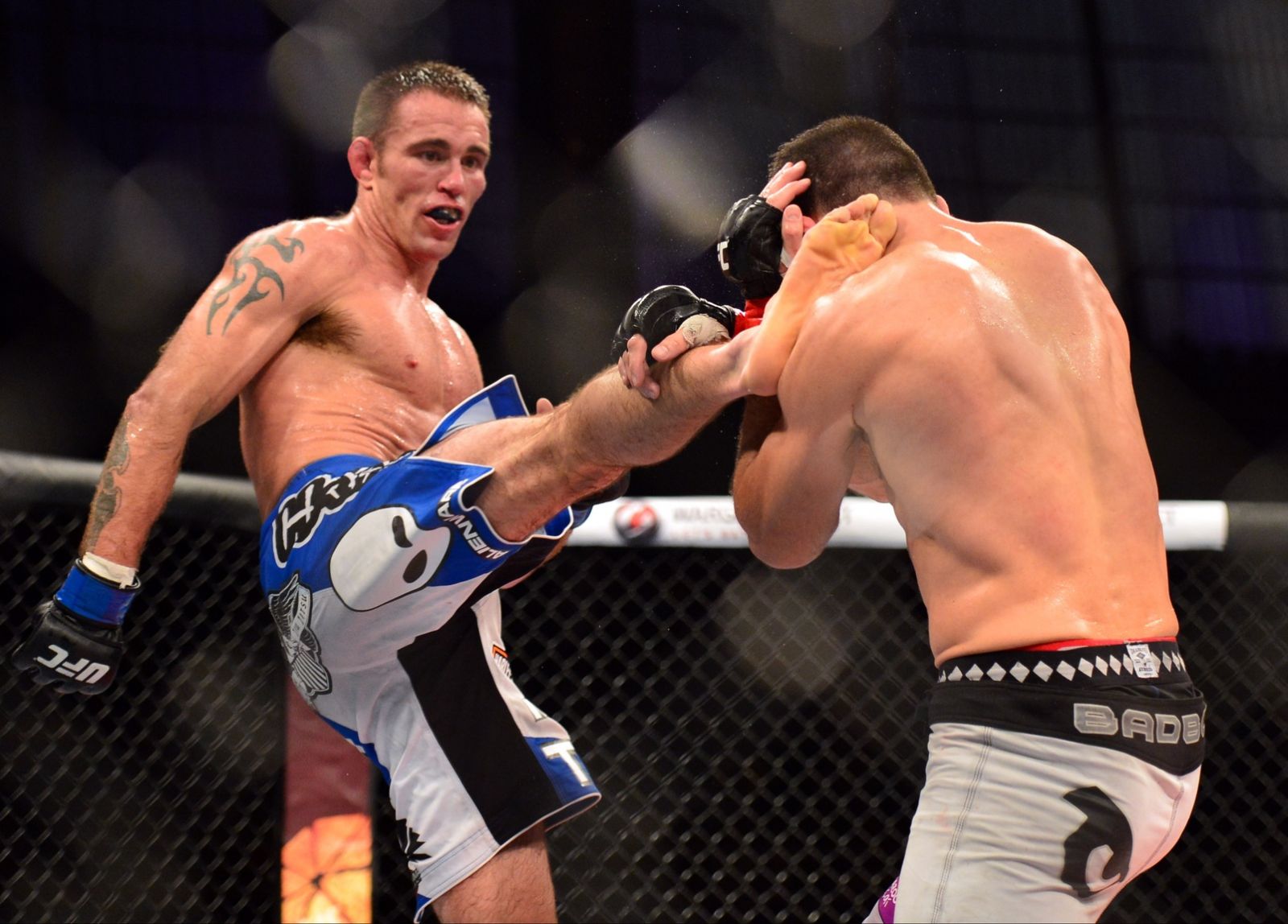 Jake Shields head kicks Demian Maia UFC Fight Night      Maia vs Shields