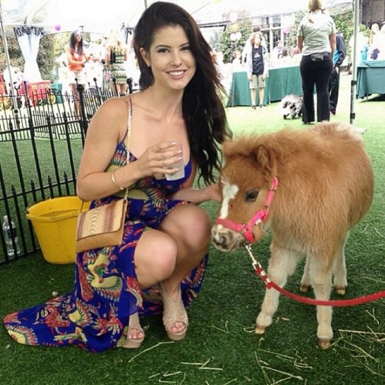 joshuaamandacernyminipony(1)