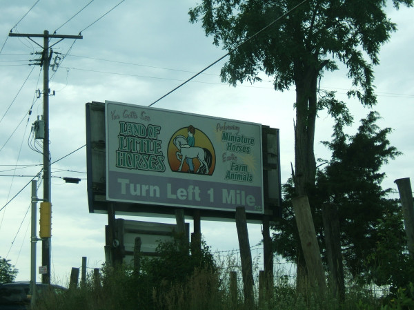 landoflittlehorsessignmorgan