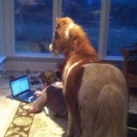 laptopminiponymuzthetruthspkr