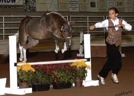 leapingminipony