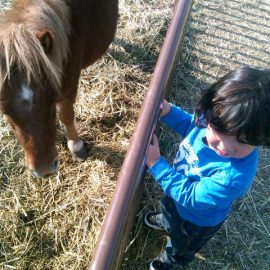 letanguerayminipony1