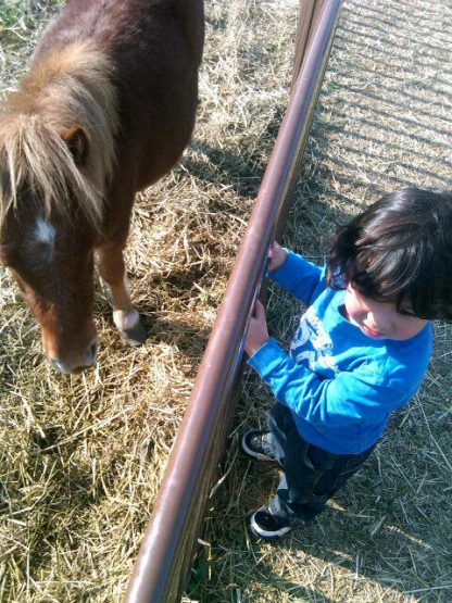 letanguerayminipony1