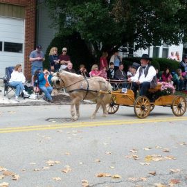 ligonierdaysparademinipony2013ericvankirk