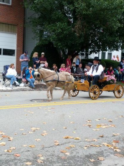 ligonierdaysparademinipony2013ericvankirk