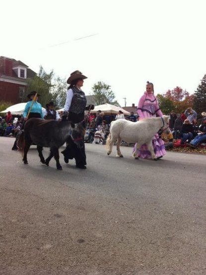 ligonierparademiniponiesricki4.2011