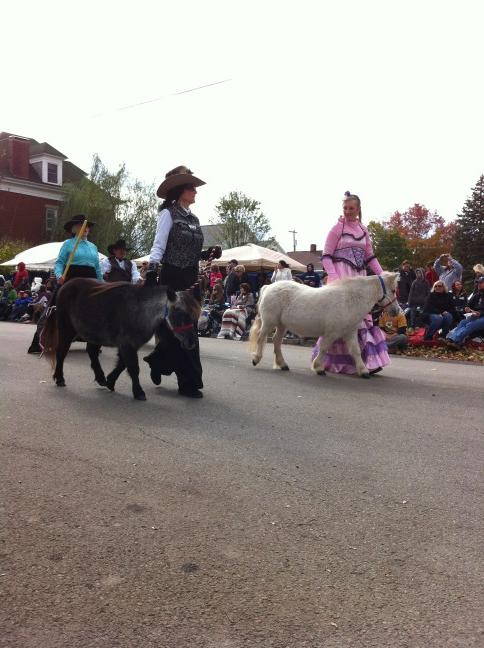 ligonierparademiniponiesricki4.2011
