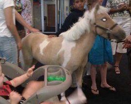 littlebobrobdevilminipony