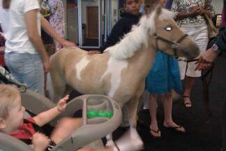littlebobrobdevilminipony