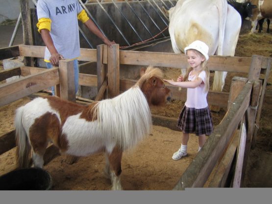 luxurioushairminipony