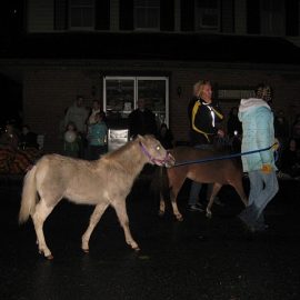 manheimfarmshowparadedoug