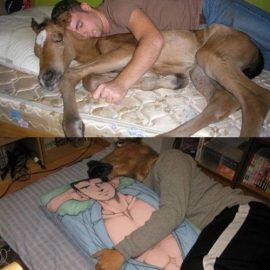 manhorsecuddle