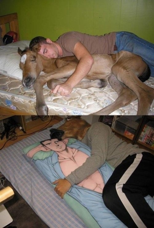 manhorsecuddle