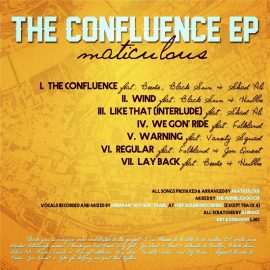 maticuloustheconfluenceback