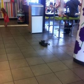 mcdonaldshorsepoop