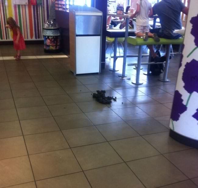 mcdonaldshorsepoop