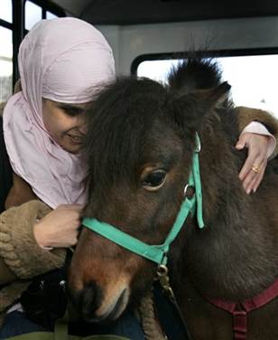 minihorseserviceanimalskenji