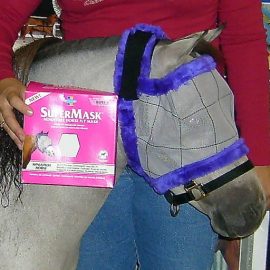 MiniMaskFarnam2010