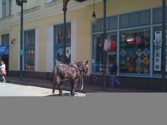 minipony